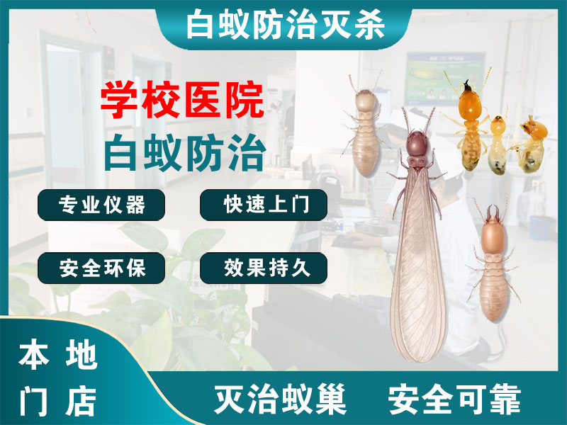 临安学校医院白蚁防治