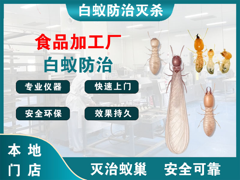临安食品加工厂白蚁防治