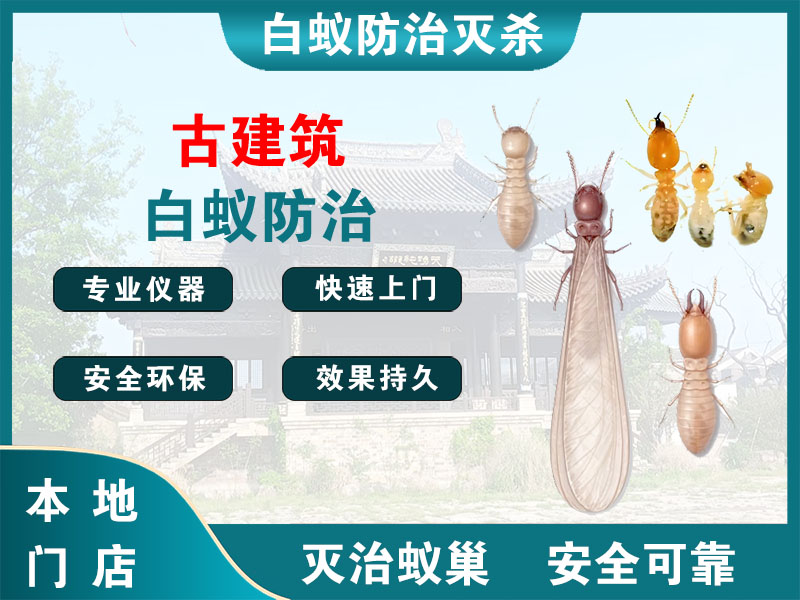 临安古建筑白蚁防治