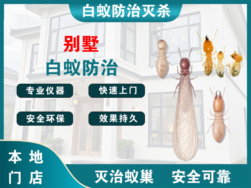 临安别墅白蚁防治