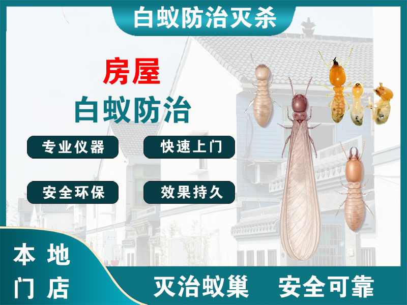 临安房屋白蚁防治